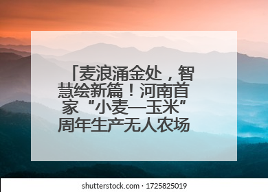 麦浪涌金处，智慧绘新篇！河南首家“小麦—玉米”周年生产无人农场喜迎丰收