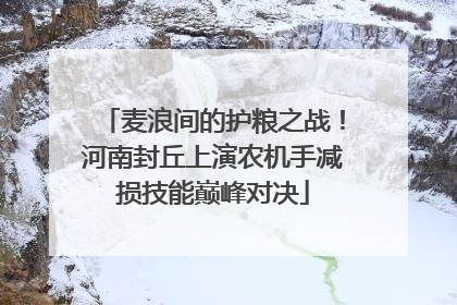 麦浪间的护粮之战！河南封丘上演农机手减损技能巅峰对决