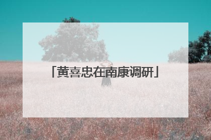 黄喜忠在南康调研