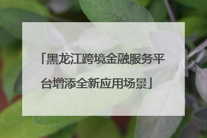 黑龙江跨境金融服务平台增添全新应用场景