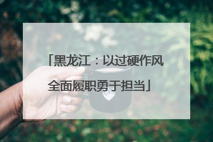 黑龙江：以过硬作风全面履职勇于担当