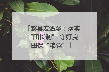 黟县宏潭乡：落实“田长制” 守好良田保“粮仓”