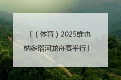 （体育）2025维也纳多瑙河龙舟赛举行