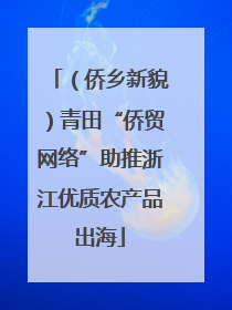 （侨乡新貌）青田“侨贸网络”助推浙江优质农产品出海