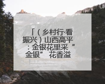 （乡村行·看振兴）山西高平：金银花里采“金银” 花香溢满致富路