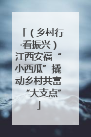 （乡村行·看振兴）江西安福“小西瓜”撬动乡村共富“大支点”