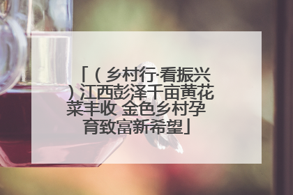 （乡村行·看振兴）江西彭泽千亩黄花菜丰收 金色乡村孕育致富新希望