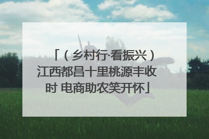 （乡村行·看振兴）江西都昌十里桃源丰收时 电商助农笑开怀