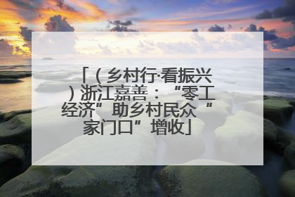 （乡村行·看振兴）浙江嘉善：“零工经济”助乡村民众“家门口”增收