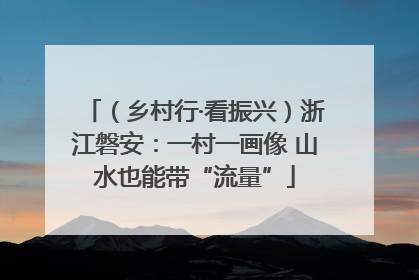（乡村行·看振兴）浙江磐安：一村一画像 山水也能带“流量”