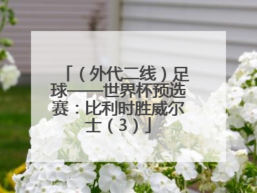 （外代二线）足球——世界杯预选赛：比利时胜威尔士（3）