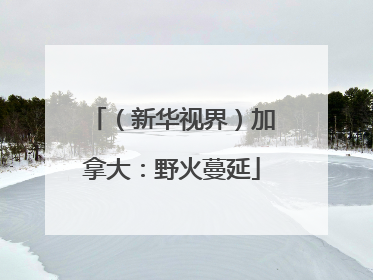 （新华视界）加拿大：野火蔓延