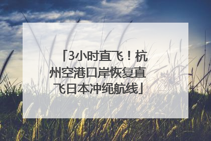 3小时直飞！杭州空港口岸恢复直飞日本冲绳航线