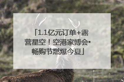 1.1亿元订单+露营星空！空港家博会▪畅购节燃爆今夏