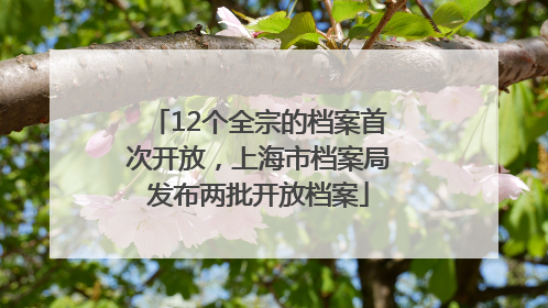 12个全宗的档案首次开放，上海市档案局发布两批开放档案