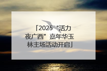 2025“活力夜广西”嘉年华玉林主场活动开启