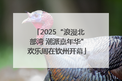 2025“浪漫北部湾 潮派嘉年华”欢乐周在钦州开幕