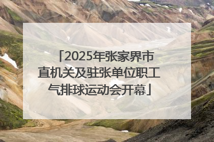 2025年张家界市直机关及驻张单位职工气排球运动会开幕