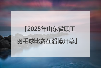 2025年山东省职工羽毛球比赛在淄博开幕