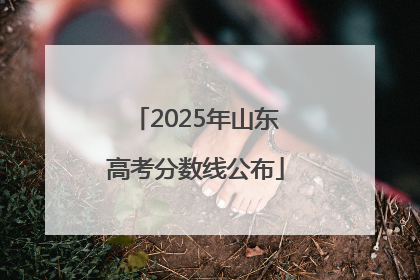 2025年山东高考分数线公布