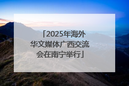 2025年海外华文媒体广西交流会在南宁举行