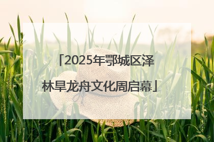 2025年鄂城区泽林旱龙舟文化周启幕