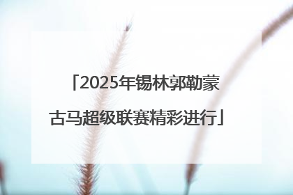 2025年锡林郭勒蒙古马超级联赛精彩进行