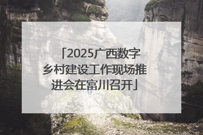 2025广西数字乡村建设工作现场推进会在富川召开