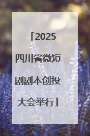 2025四川省微短剧剧本创投大会举行