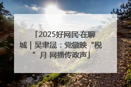 2025好网民·在聊城｜吴聿晟：党徽映“税”月 网播传政声