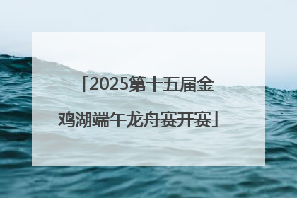 2025第十五届金鸡湖端午龙舟赛开赛
