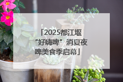 2025都江堰“好嗨啤”消夏夜啤美食季启幕