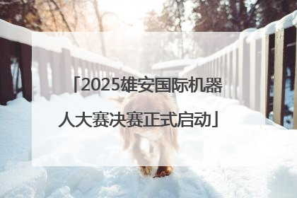 2025雄安国际机器人大赛决赛正式启动