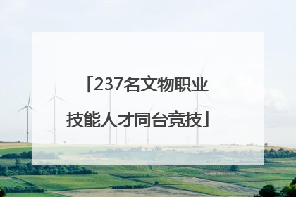 237名文物职业技能人才同台竞技