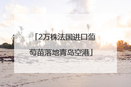 2万株法国进口葡萄苗落地青岛空港