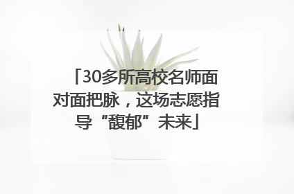 30多所高校名师面对面把脉，这场志愿指导“馥郁”未来