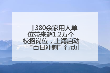 380余家用人单位带来超1.2万个校招岗位，上海启动“百日冲刺”行动