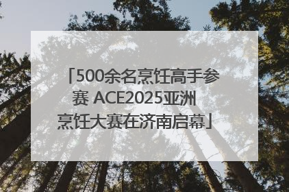 500余名烹饪高手参赛 ACE2025亚洲烹饪大赛在济南启幕