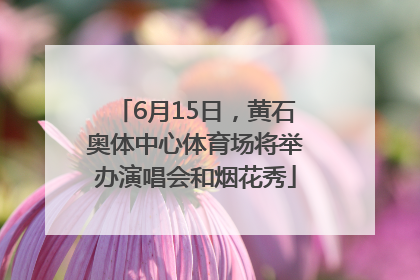 6月15日，黄石奥体中心体育场将举办演唱会和烟花秀