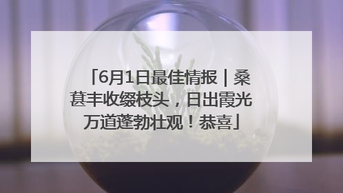 6月1日最佳情报｜桑葚丰收缀枝头，日出霞光万道蓬勃壮观！恭喜