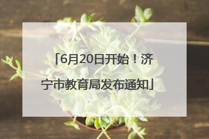 6月20日开始！济宁市教育局发布通知