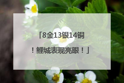 8金13银14铜！鲤城表现亮眼！