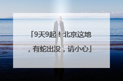 9天9起！北京这地，有蛇出没，请小心