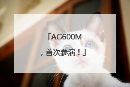 AG600M，首次参演！