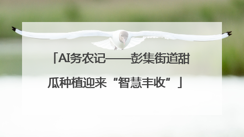 AI务农记——彭集街道甜瓜种植迎来“智慧丰收”