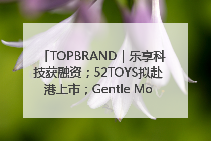 TOPBRAND｜乐享科技获融资；52TOYS拟赴港上市；Gentle Monster合作谷歌；Valentino传播官离职